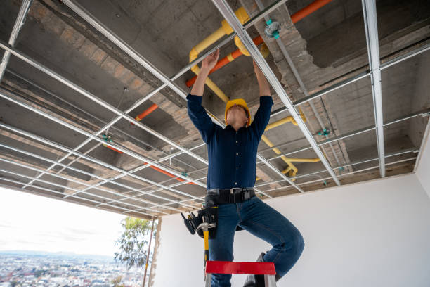 Best Leak Detection Services  in Moapa Valley, NV