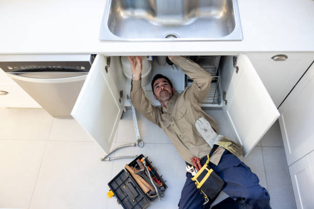Best Plumbing Services Near Me  in Moapa Valley, NV