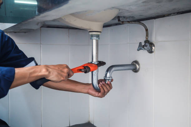 Best Plumbing Installation Services  in Moapa Valley, NV