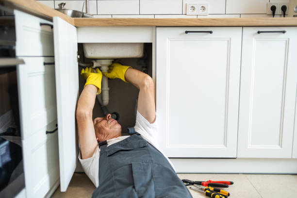 Moapa Valley, NV Plumbing Pros