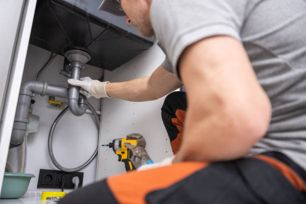 Best Plumbing Inspection Services  in Moapa Valley, NV